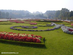 schonbrunn-2-xl.jpg