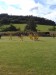 DSCN1669
