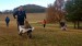 IMG_20211106_150429_786